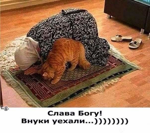Немного милоты