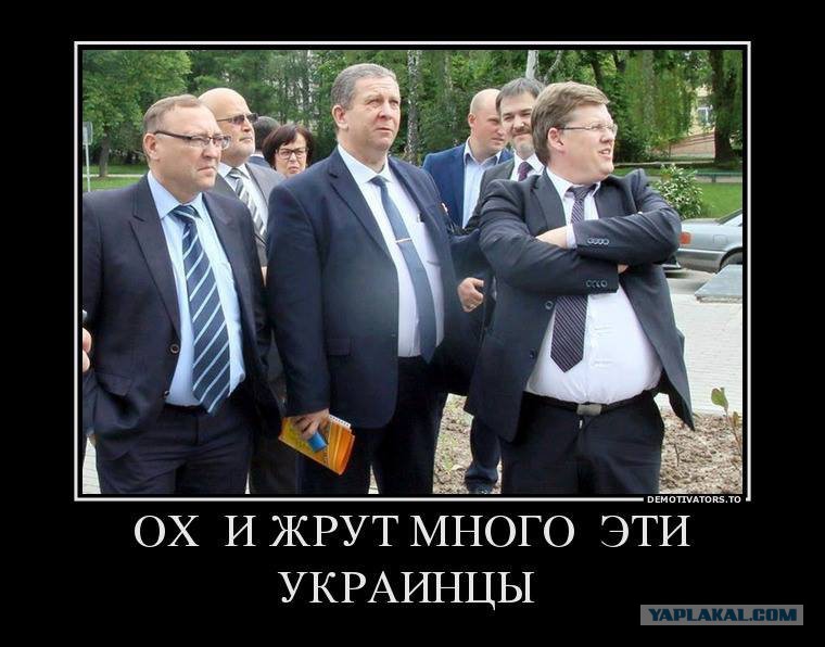Хохлов трудовое. Хохлы-министры. Украинцы много едят. Министр Рева украинцам.