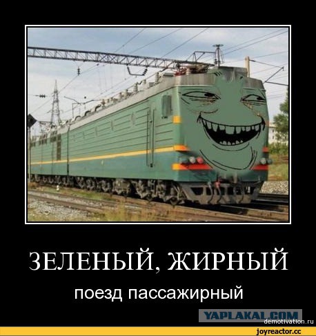 Девушка сфотографировала как травят москвичей