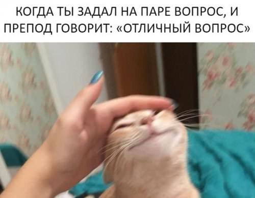 Аморальный юмор в картинках