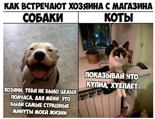 Немного картинок для настроения