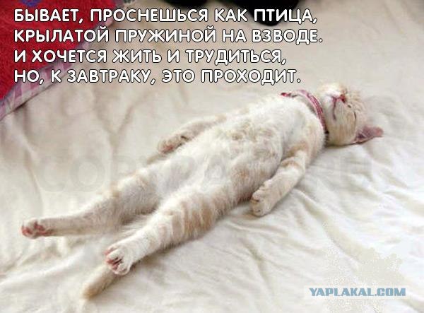 Kartinki Pro Pyatnicu