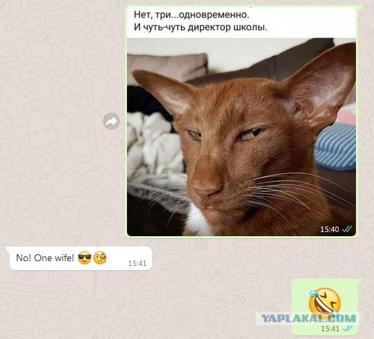 Бредзона 26.02.2020