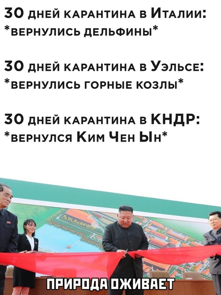 Немного картинок для настроения 02.05.20