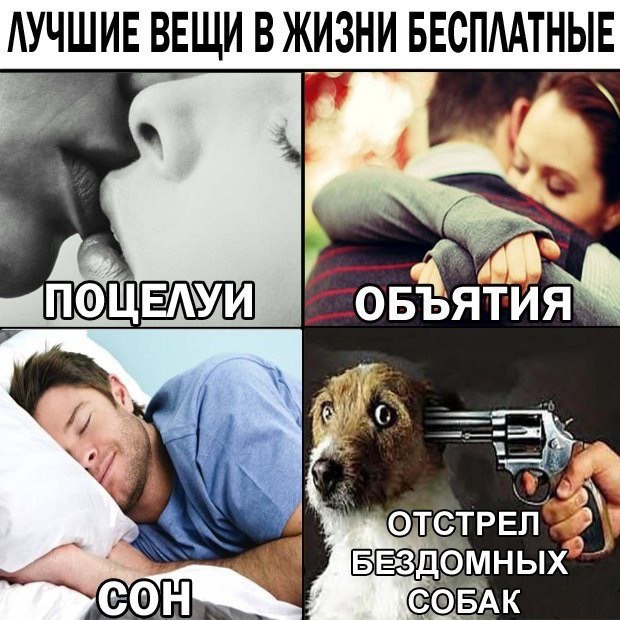 Чернь, дрянь, перегной
