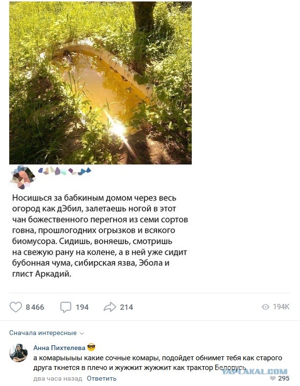 Так себе картинки 14.06.20