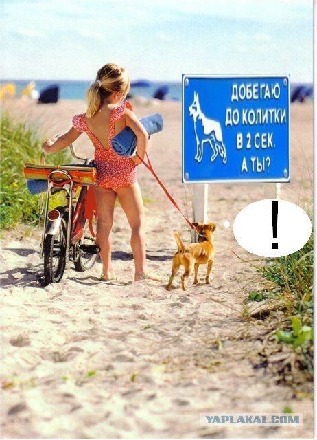 Девочка на пляже