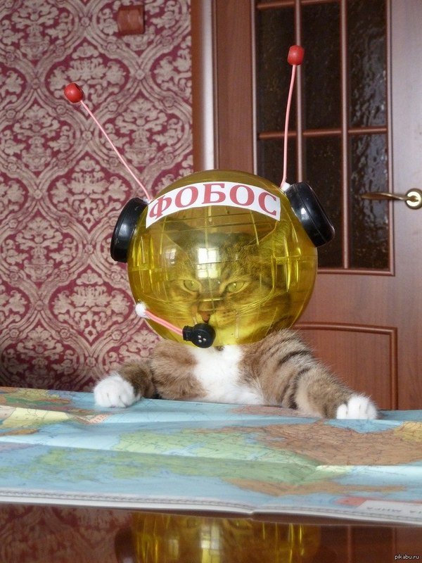 Прикольные и просто красивые картинки 24.08.2020