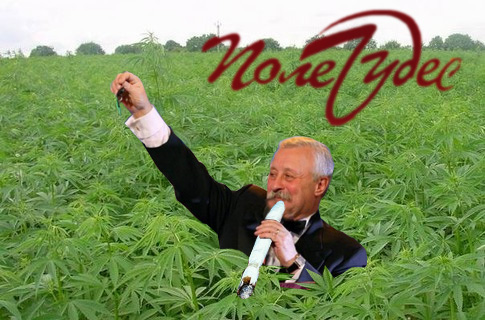 Поле Чудес