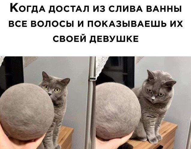 Картинки с надписями и анекдоты
