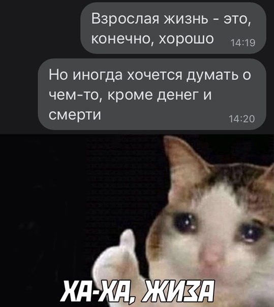Немного картинок для настроения 06.11.20