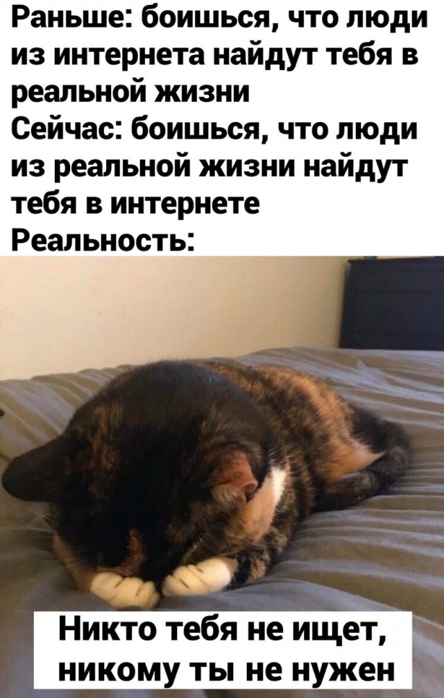 Насохранял