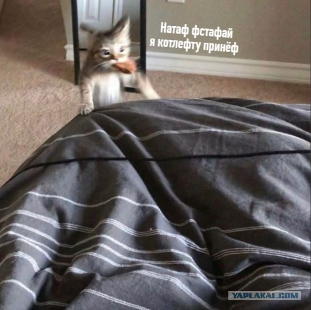 Это моя добыча!