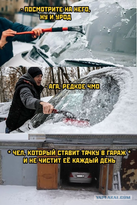 Весёлый полтишок 14.11