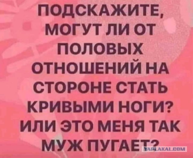 Всяческие картинки 29.11.2021