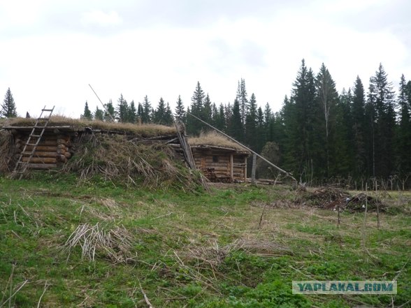 Лесное жилище