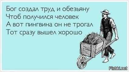 Человек не произошёл от обезьяны, он и есть обезьяна
