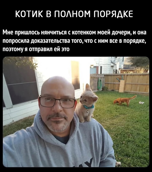 40 картинок разных 03.02.2022