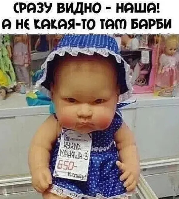 16529628.jpg