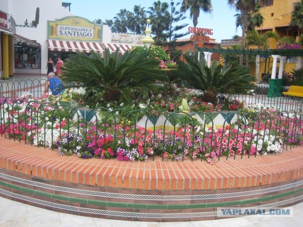 Канары, Тенерифе
