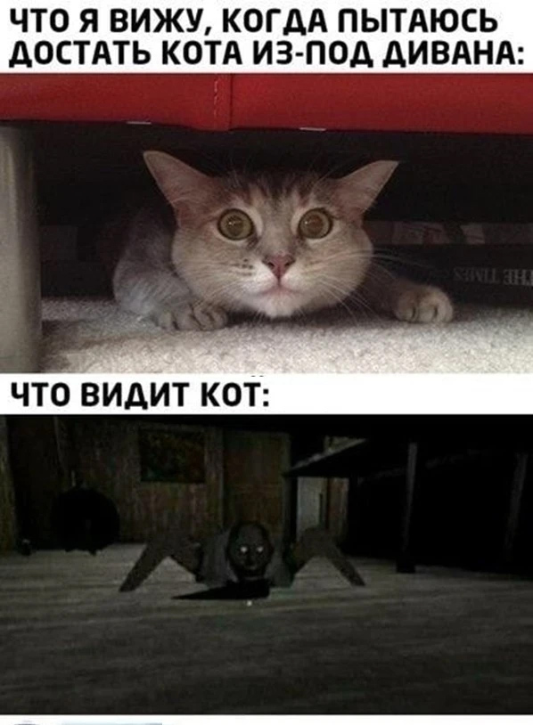 Так себе картинки 20.03.22