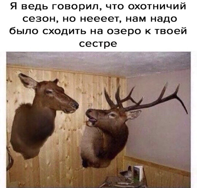 Так себе картинки 21.04.22