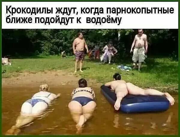 Так себе картинки 10.07.22