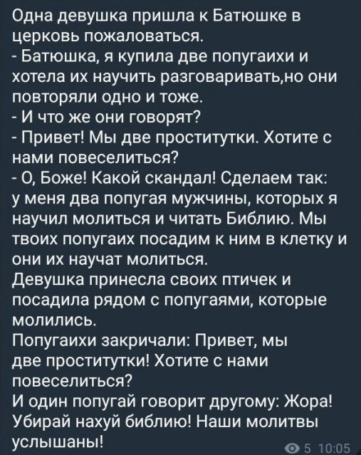 Так себе картинки 14.08.22