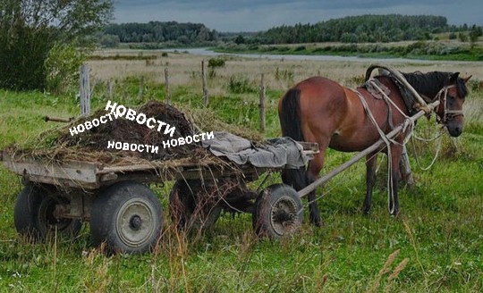 Принято решение командировать в зону проведения "спецоперации" до 40% сотрудников МВД РФ