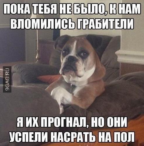 А что думают поляки про своё ЧП?