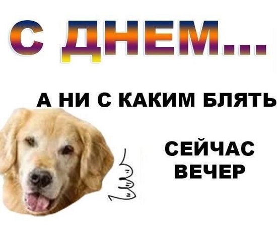 Весёлый полтишок 11.01.23