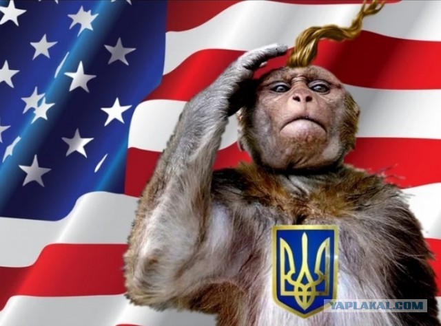США выделили Украине 10 миллиардов долларов на поддержку власти