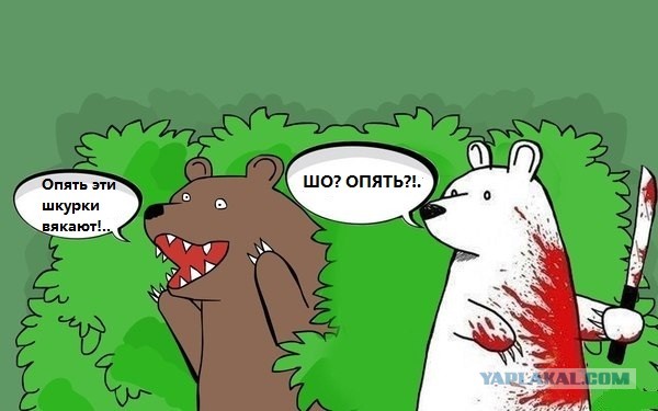 Судьба Шурыгиной