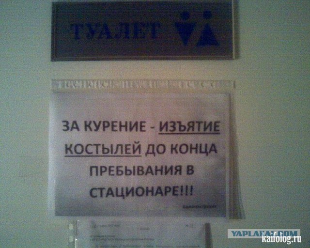 Подобрал кошака на свою голову!