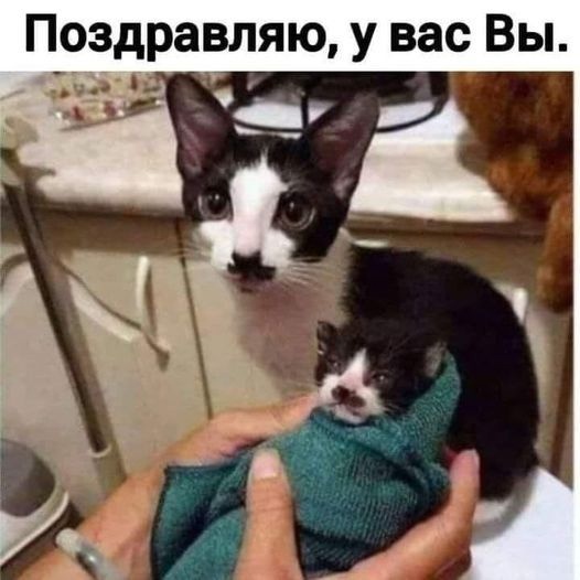 Так себе картинки 18.06.23