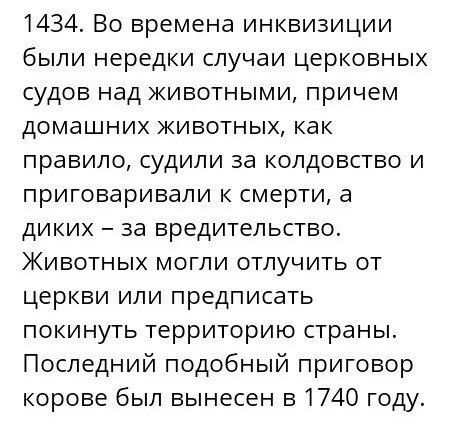 Занимательная теология-3