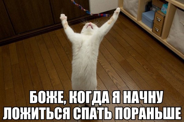 Всего понемногу. От 02.04.24