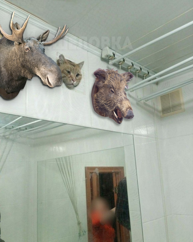 История, к счастью, с хорошим концом: в Уфе спасли котика, попавшего в вентиляцию