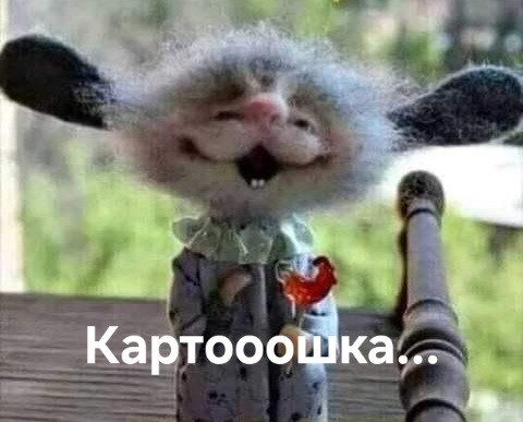 Пирожное «Картошка»: всенародно любимое лакомство родом из СССР