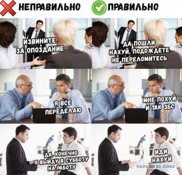 Весёлый полтишок 06.12.24