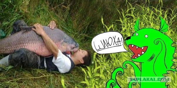 Эй, моряк ты слишком долго плавал!