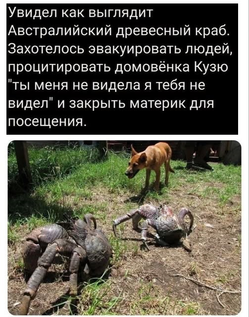 Картинки разные с надписями и без