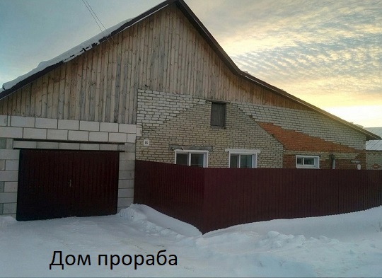 Какая муха тебя укусила?