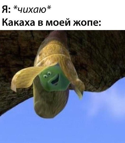Картинки своеобразного юмора.