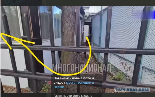 По факту гибели девушки, найденной насаженной на забор в Перми, возбуждено уголовное дело по статье "Убийство"