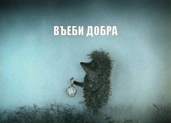 Спасли ёжика из решётки