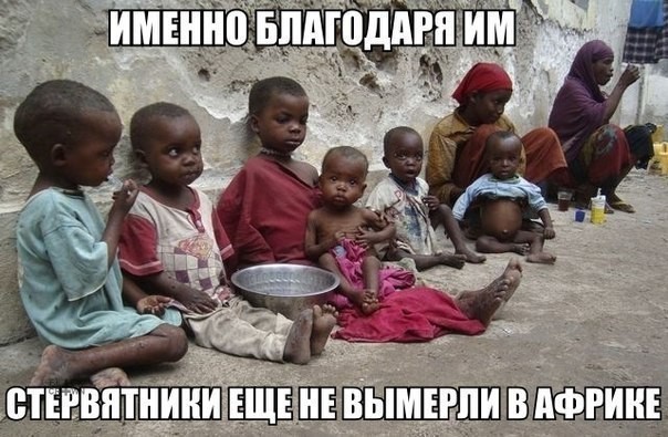 Деградильня