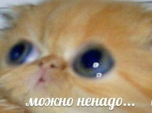 Детям мигрантов напишут отдельный учебник по русскому языку, а учителей отправят на переподготовку.