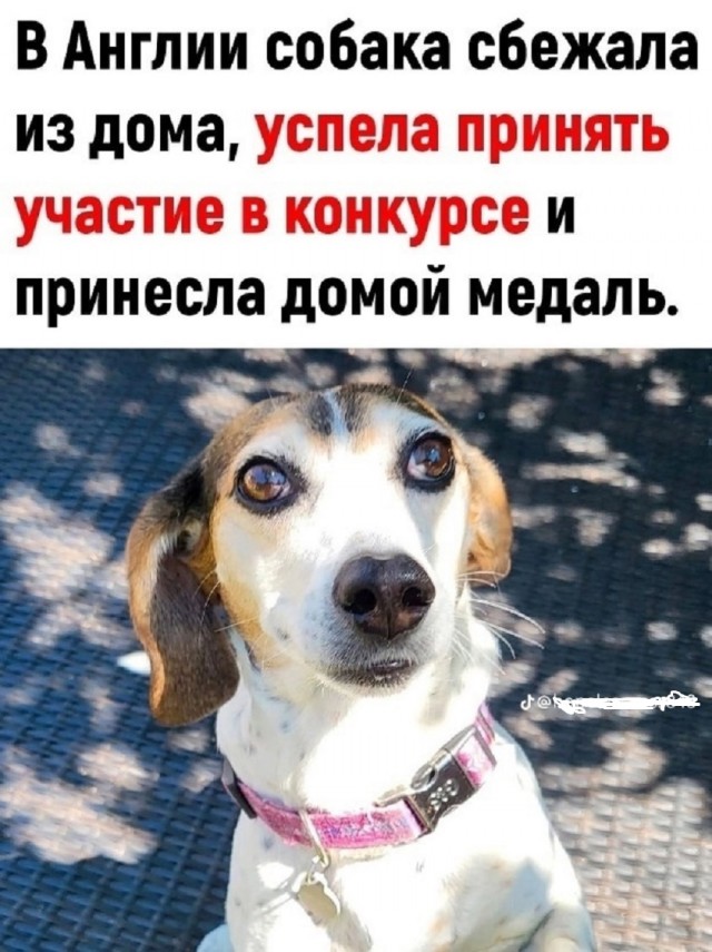 Так себе картинки 29.06.25