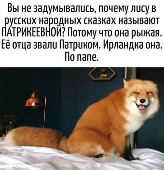 Так себе картинки 06.07.25